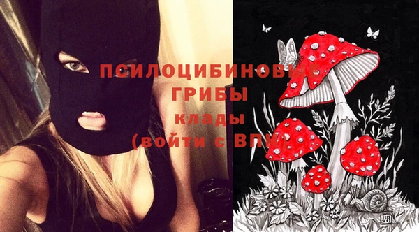 герыч Алексеевка