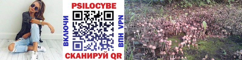 Галлюциногенные грибы Psilocybe  купить  цена  Кемь 